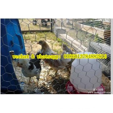 China Factory Chiken Wire Mesh / Netting